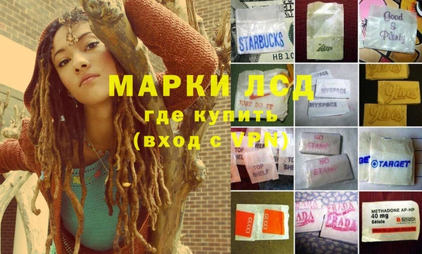 гашик Сатка